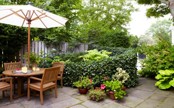 Patio garden