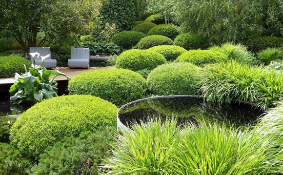 7 Garden Suggestions To Get