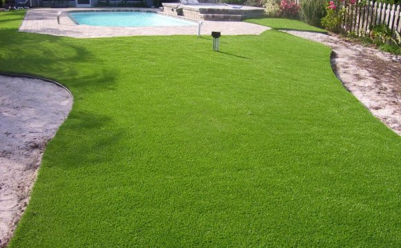 Artificial Grass Backyard