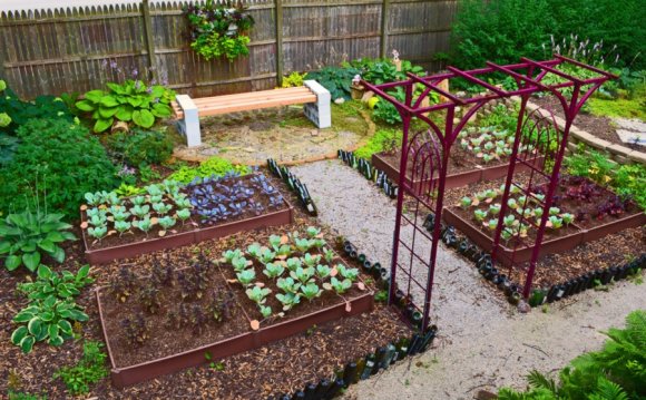 Backyard Gardening Ideas