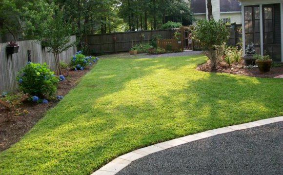 Small Back Yard Landscaping