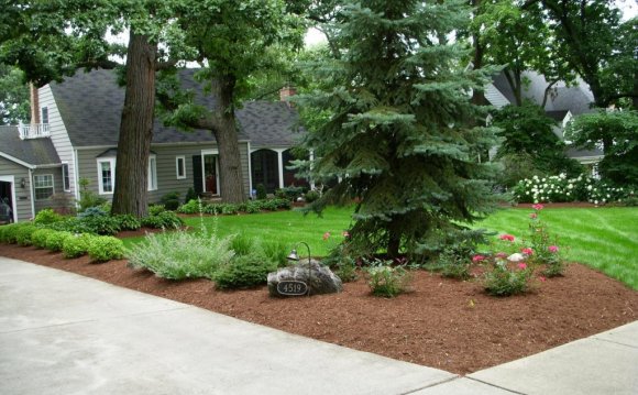 Beautiful front yard landscape