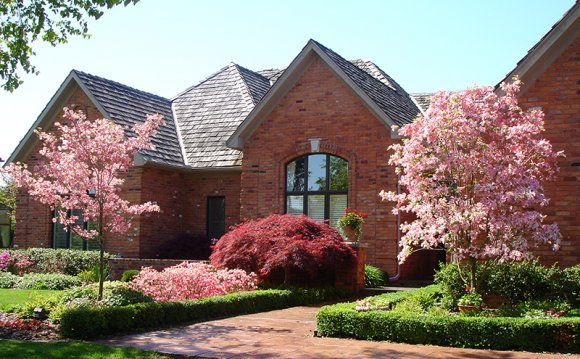 Beautiful Front Yard