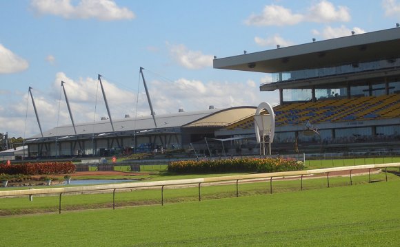 Artificial Grass Provides Base