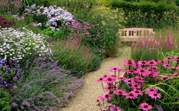 Cottage garden ideas combined