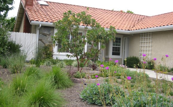 Drought Tolerant