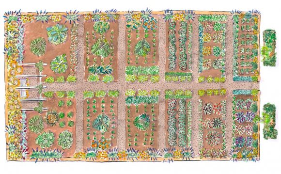 A Glorious Kitchen-Garden Plan