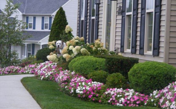 Front Yard Landscaping Ideas