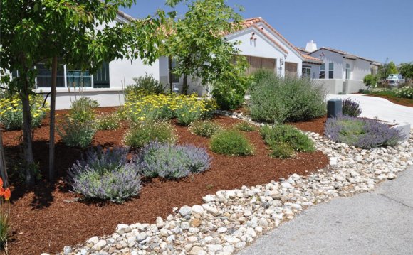 Great Rocks In Front Yard 1