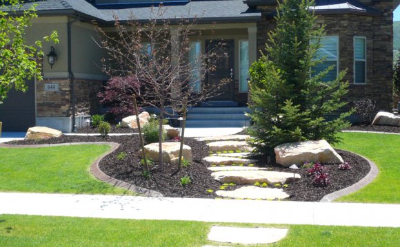 Landscaping and Front yard