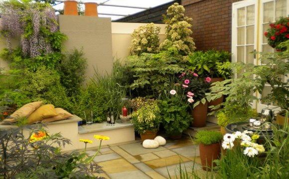 Small Garden Landscape Design