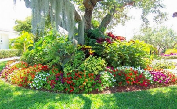 Tree Garden Ideas Big Idea