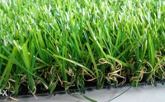 Grass Turf or Artificial Grass