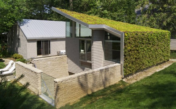 House with Vertical Garden