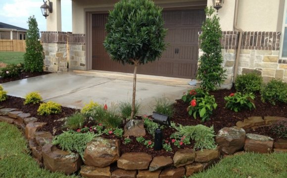 Tree in a flower bed