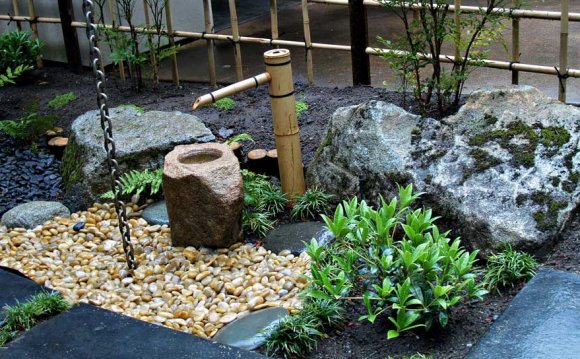 Japanese Water Garden