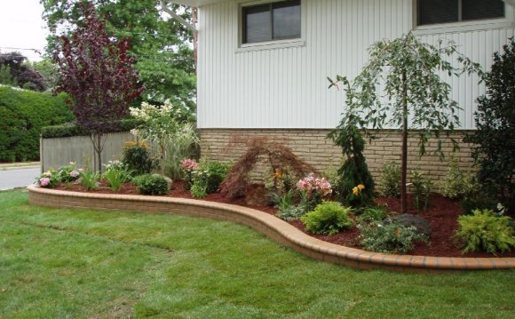 Ideas For Front Yard Lawn