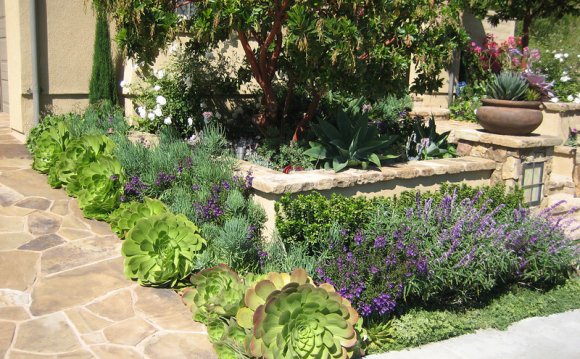 Mediterranean Landscape Design