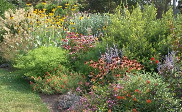 Native Plant Garden Design For