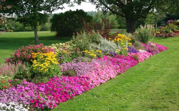 Simple Flower Garden Home