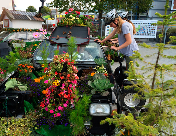 Front yard landscaping ideas