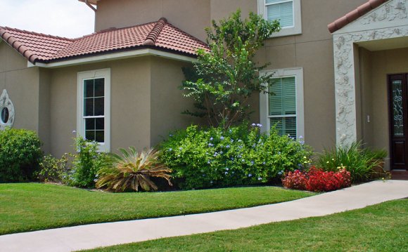 Simple Front Yard Landscaping