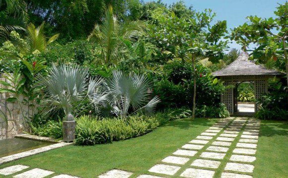 Tropical landscape design
