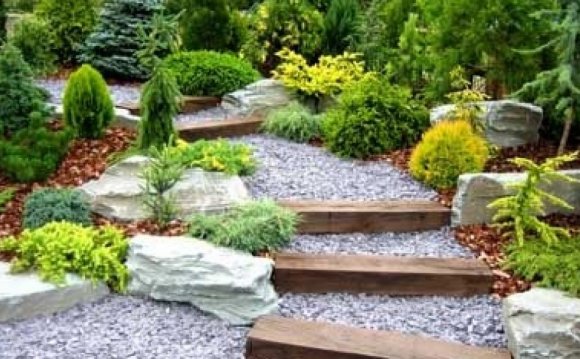 Www Landscaping Designs