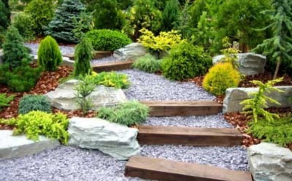 Yard Design Ideas lawnless