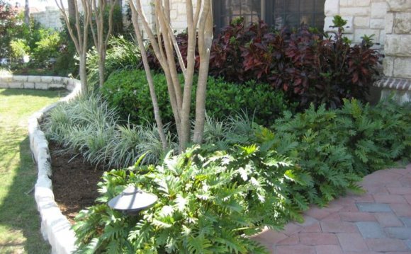 Southern Landscaping plants