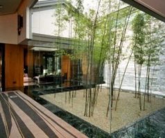 Bamboo garden in living room
