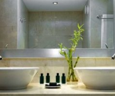 Bamboo garden inside bathroom for feng shui