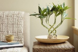 Bamboo table top decor