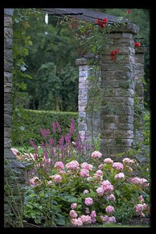 Botaniska Tradgarden. Visby, Gotland.