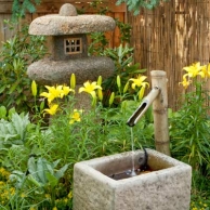 concrete trough fountain with lilies and moneywort in a Japanese-style garden