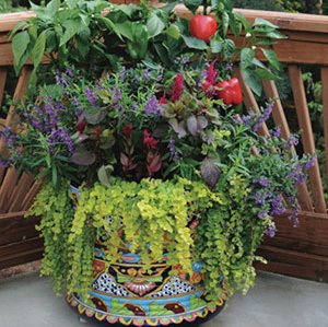 Decorative planting pot with veggies and flowers on a deck.
