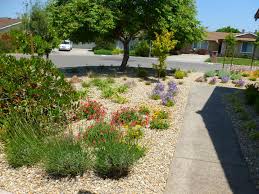 drought-tolerant