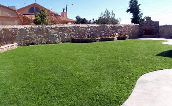 Backyard Grass