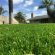 Artificial Grass for Lawns
