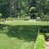 Backyard lawns