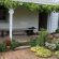 Best plants for Landscaping front of house