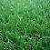 Imitation Turf Grass
