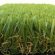 Most realistic Synthetic Grass