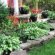 Small Landscaping Projects