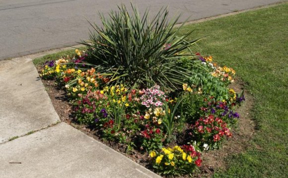 Front yard flower bed Landscaping ideas