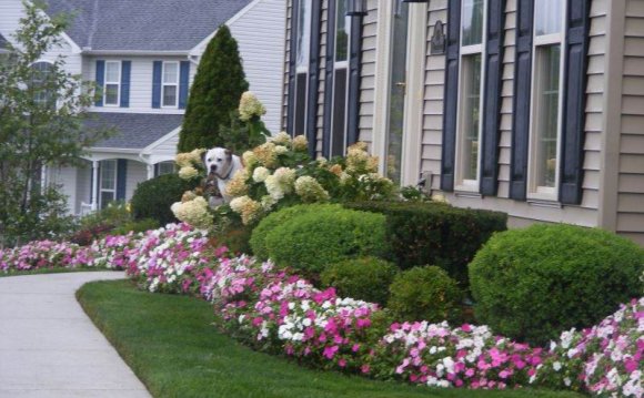 Houzz front yard Landscaping