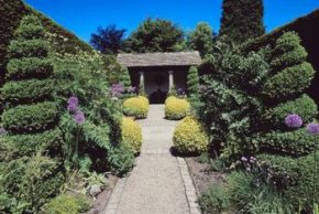 Front yard plants should frame, not compete with, your front door.