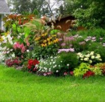 Garden design ideas - photos for Garden Decor