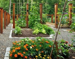 garden ideas vegetable garden garden fence ideas plant protection