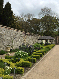 garden scape